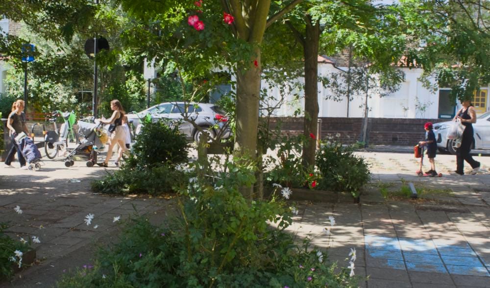 Parents and their children walk and scoot from school in the background, behind blooming daises and some red flowers.